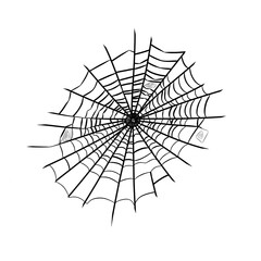 Fototapeta premium Spider web in black and white PNG 