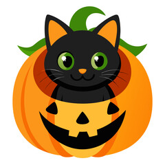 Halloween cat with pumpkin