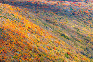 秋色に染まる　栗駒山の絶景