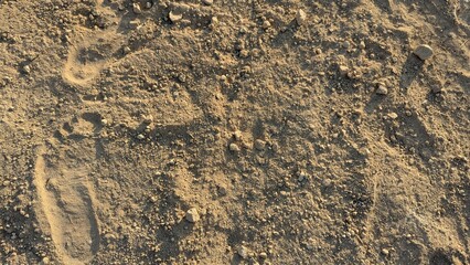 A top-down, detailed shot of dry brown dirt and pebbles. The surface is uneven and textured, with...