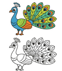 Fototapeta premium Colorful peacock illustration for kids with left-hand friendly coloring page 