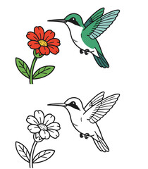 Obraz premium Colorful hummingbird hovering near flower with line art left-handed friendly kids coloring page