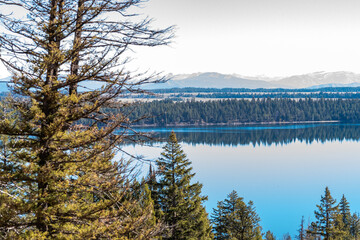 A serene view from a mountain overlooking Jenny Lake, Wyoming, USA. Tall evergreen trees (Pinophyta) frame the scene, revealing the glistening, reflective waters of the lake below. 