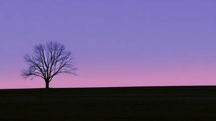 Obraz premium Minimalist silhouette of a single tree against a gradient sky with ample negative space.
