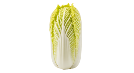 Red bus with flame design driving in a city.