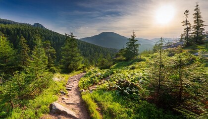 serene mountain trail through a lush forest landscape