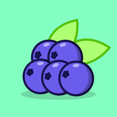 Blueberry Vector Illustration