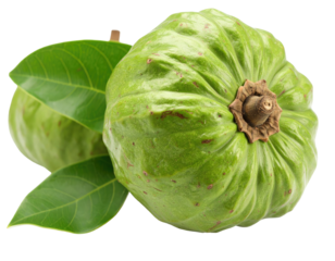 Close-up of a green fruit with leaves