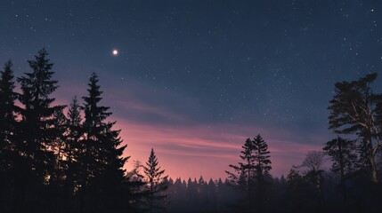 Stunning forest silhouette under a starry night sky with vibrant twilight hues creating magic