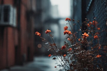 Orange blossoms in a city alleyway