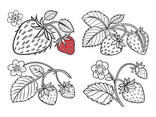 coloring page line art the strawberry black vector bundle
