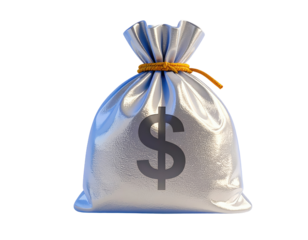 Silver money bag with dollar sign