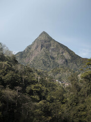 Panoramic view of countryside houses in the highlands with forested mountain backdrop.