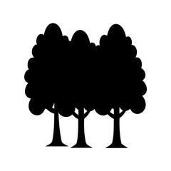Three Silhouetted Trees Standing Side by Side Against a White Background