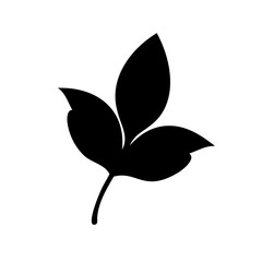 Striking Silhouette of a Leaf with Three Petals on a White Background
