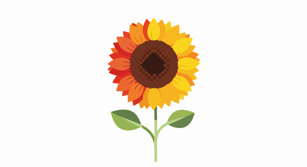 Obraz premium Sunflower illustration on white background, vibrant and detailed, perfect for design.