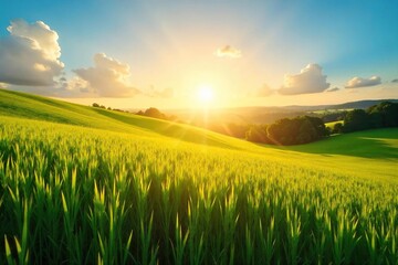 Golden hour sunlight bathes a vibrant summer landscape, illuminating lush green fields and a clear blue sky Perfect for travel, vacation, and summer themes , vacation, serene, happy
