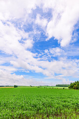 北海道 十勝の広大な農場(士幌町と上士幌町)
