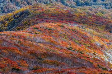 秋色に染まる　栗駒山の絶景