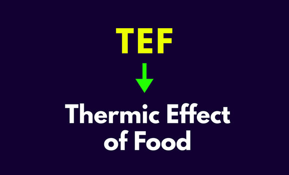 TEF Meaning, Thermic Effect of Food