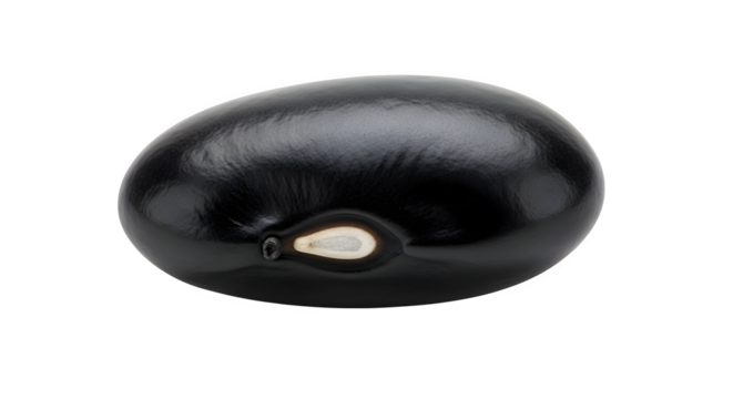 Single black bean isolated on transparent background, a nutritious legume, a staple food in many cuisines, and a source of plantbased protein