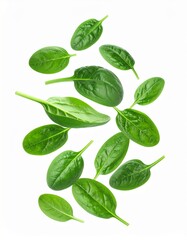 Fototapeta premium Fresh green spinach leaves scattered on white healthy