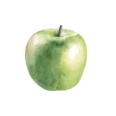 Ripe green apple. Hand drawn watercolor illustration isolated on white background