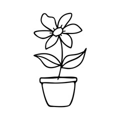 Continuous line drawing of a flower in a pot. Beautiful flower Isolated on a white background. Vector illustration