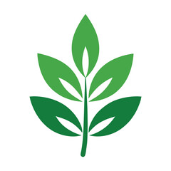 Simple Leaf Ornament on White Background