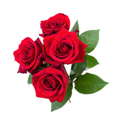 Close Up Shot of Red Roses Bouquet with Green Leaves Isolated on Transparent Background