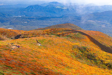 秋色に染まる　栗駒山の絶景　
