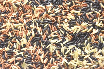 mixed red cargo and black jasmine rice paddy texture and background