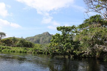 Le Parc National de Killarney, en Irlande