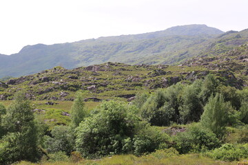 Obraz premium Le Parc National de Killarney, en Irlande