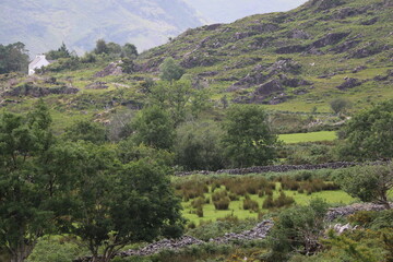 Obraz premium Le Parc National de Killarney, en Irlande