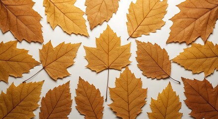 Fototapeta premium Autumn Leaves Pattern Background. Dried fall foliage in warm brown and orange tones scattered on a light surface, natural texture.