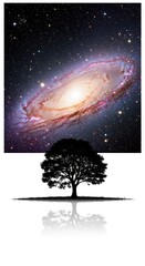 Majestic Spiral Galaxy Over Silhouetted Tree Reflection Night Sky Cosmic Wonder Deep Space Starry Universe Celestial Tree Silhouette Dark Background