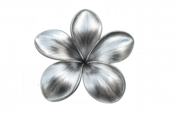 Brushed metal effect creating a stylish and modern metallic silver plumeria flower, isolated on transparent background