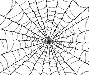 spider on web