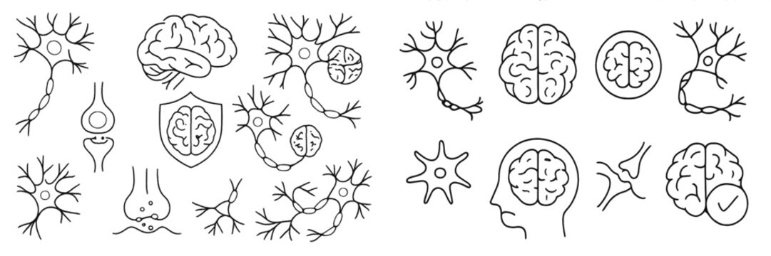 Neuron and brain line icon set for neurology and neuroscience concepts, including synapse, nerve cell, and central nervous system symbols