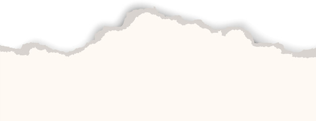 Fototapeta premium Torn paper with ripped edges. Tear piece of sheet. Notebook pages for collage and scrapbooking design. Vintage template with rough element. Realistic patch element