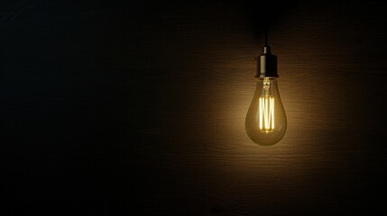 A single light bulb hangs from a wire against a dark background.
