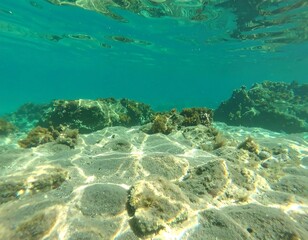 Fototapeta premium Underwater rocks and coral
