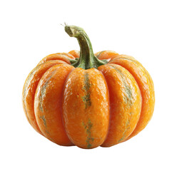 Fototapeta premium Harvesting a fresh orange pumpkin farm field food nature