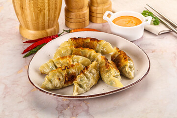 Japanese fried Gyoza stuffed dumplings
