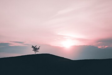 Obraz premium Breathtaking sunset over serene landscape, showcasing a solitary tree silhouetted against vibrant sky, capturing nature's tranquil beauty perfectly.