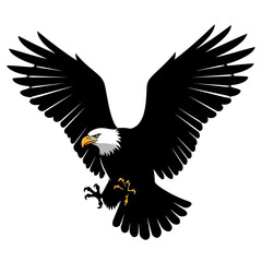 Bald eagle in flight silhouette isolated on white background