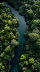 Naklejka premium Serene river flowing through lush green forests aerial view nature