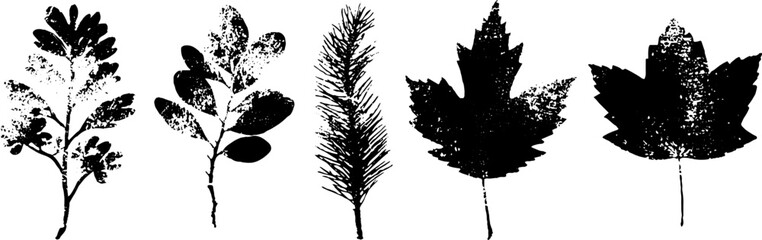 Grunge black and white acacia leaf silhouettes for urban art design