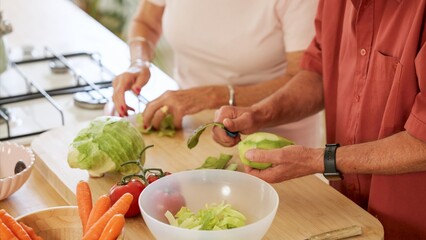 Elderly couple preparing fresh vegetables together